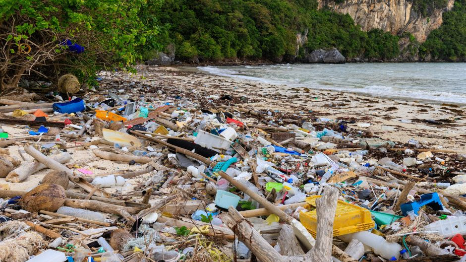 Eco-friendly Shaving