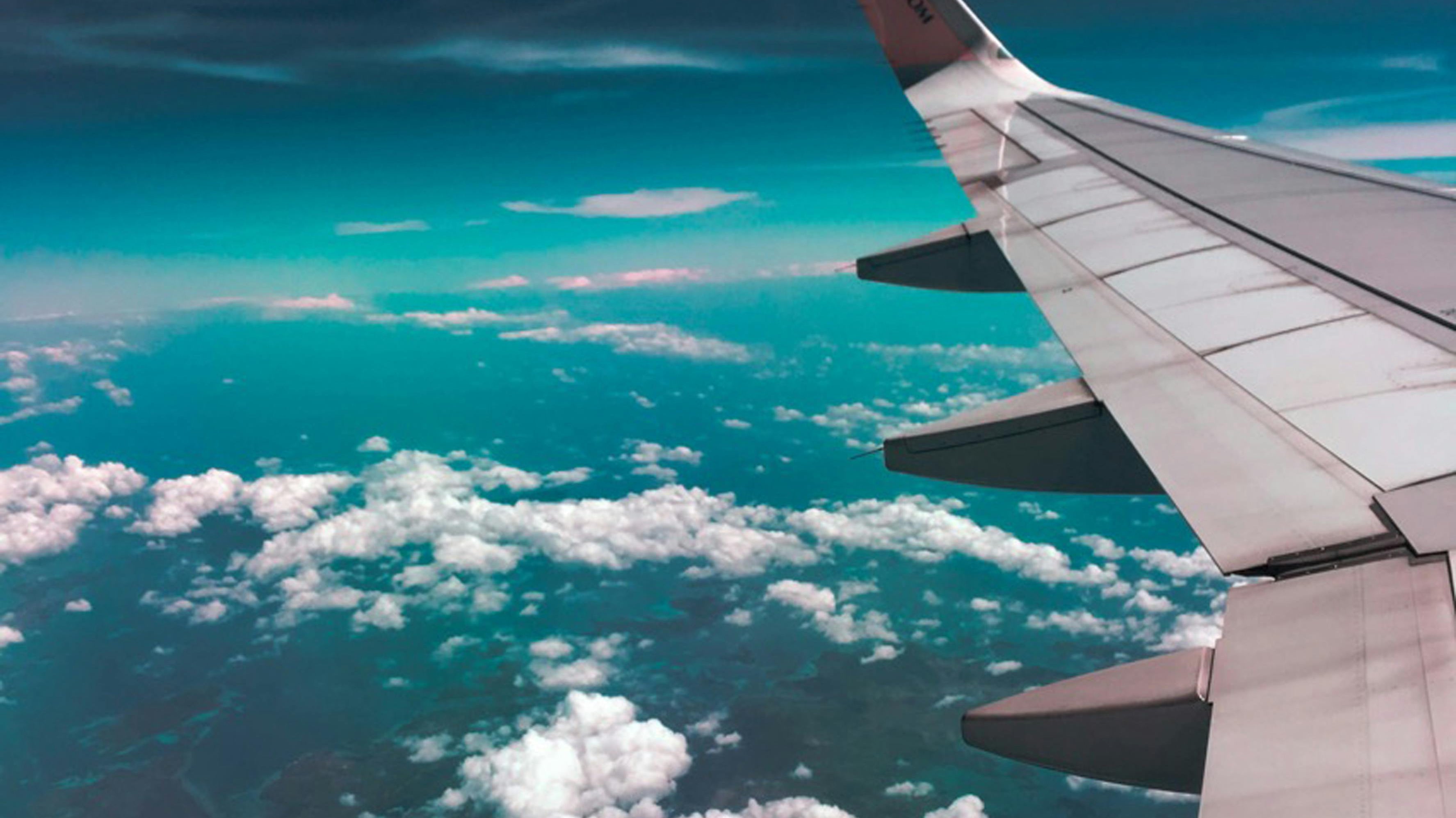 Summer Holiday Grooming